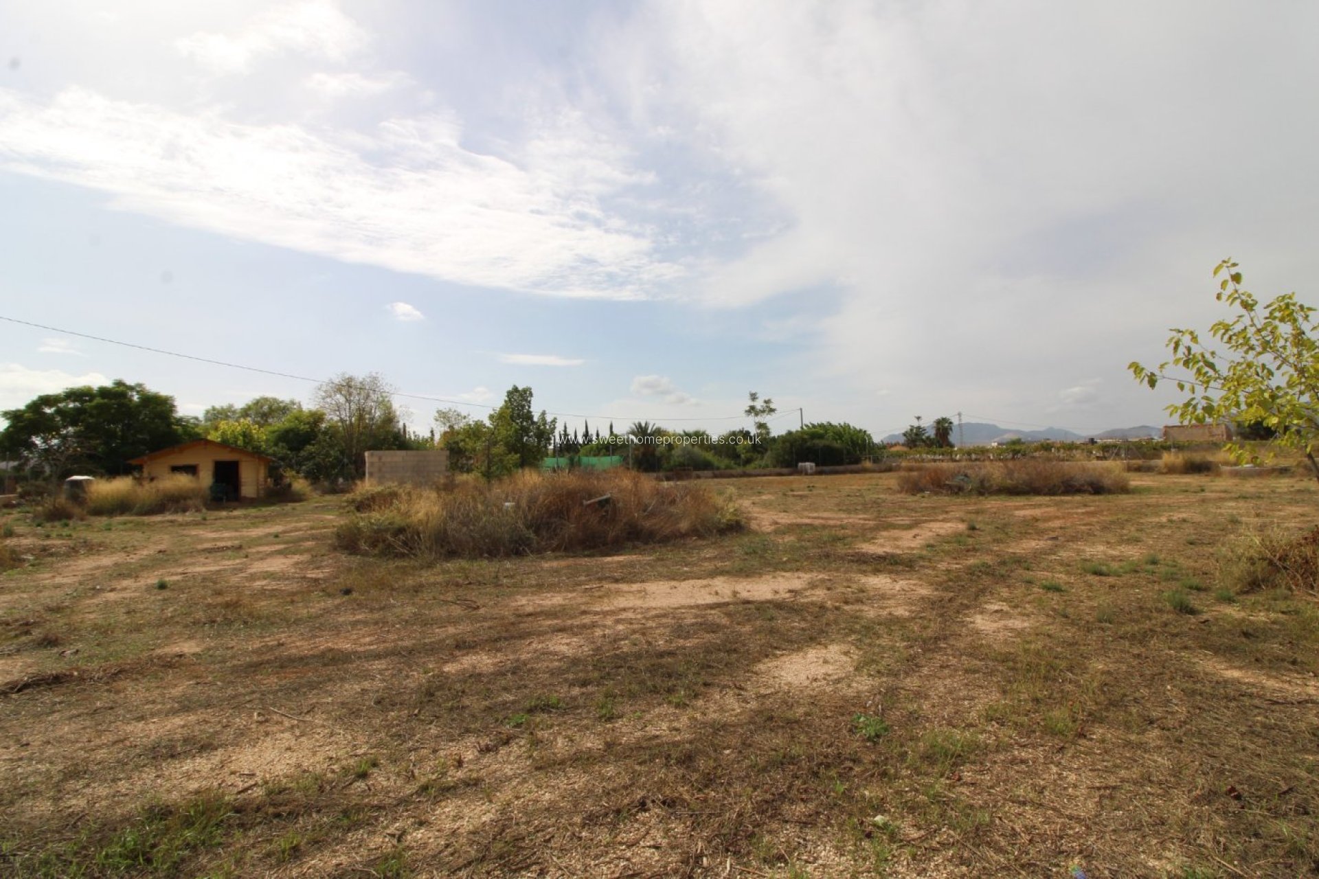 Reventa - Plot - Novelda - CAMPET