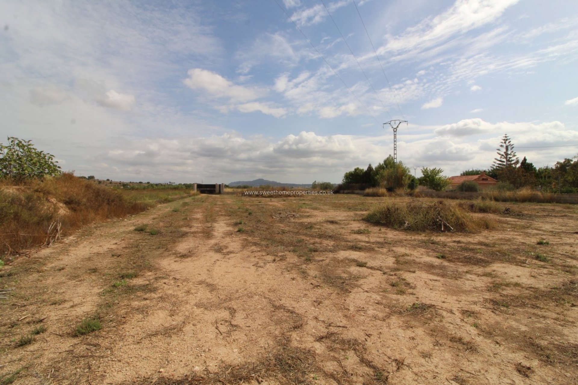 Reventa - Plot - Novelda - CAMPET