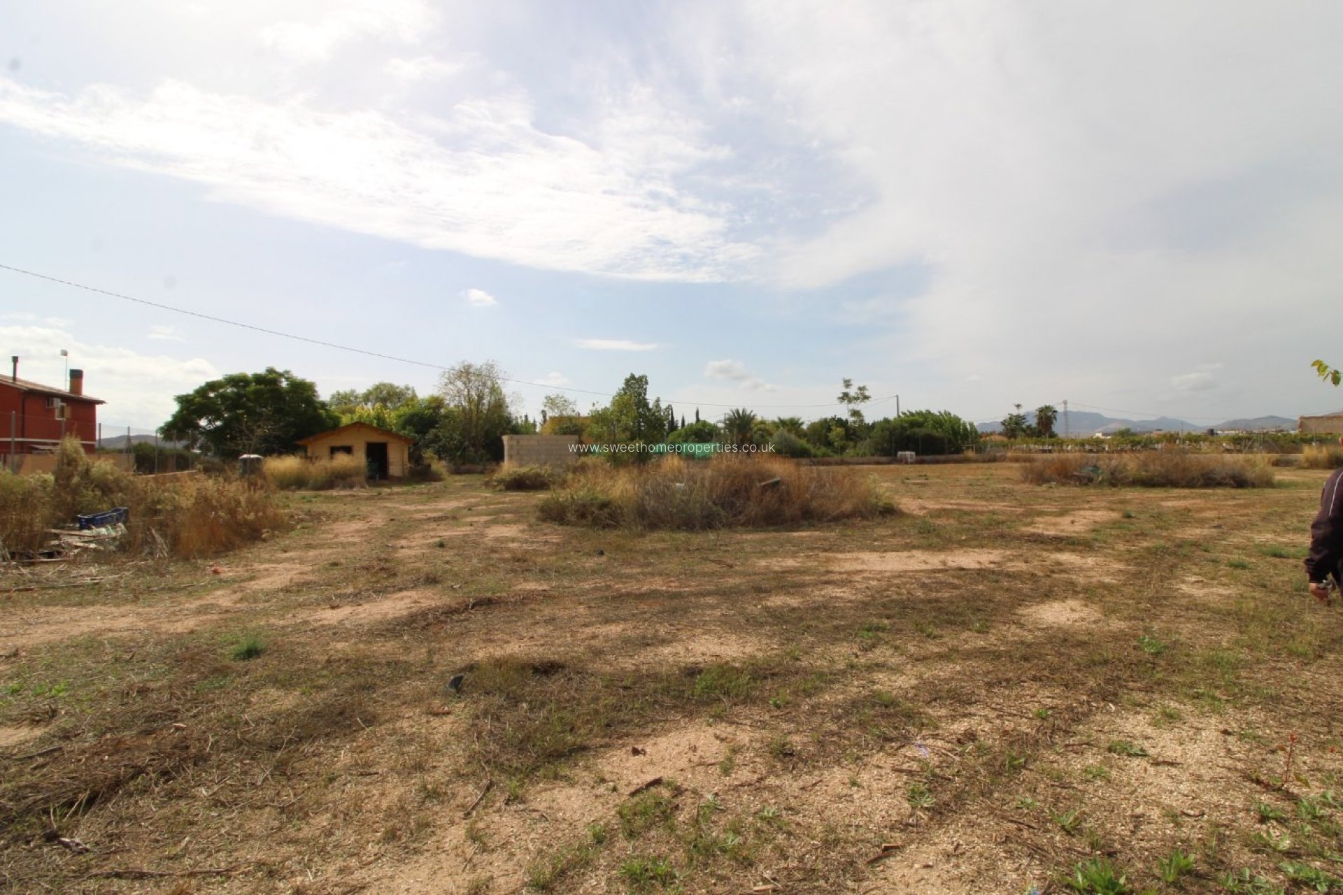 Reventa - Plot - Novelda - CAMPET