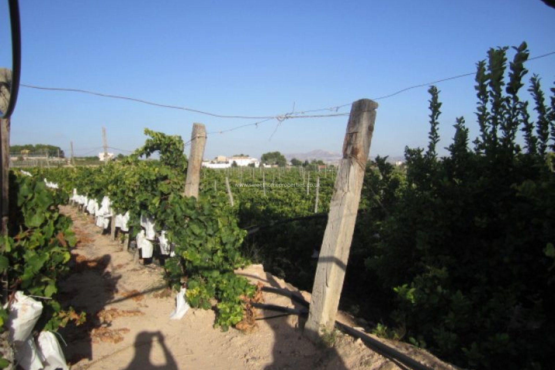 Reventa - Plot - Novelda - CASAS DE SALA