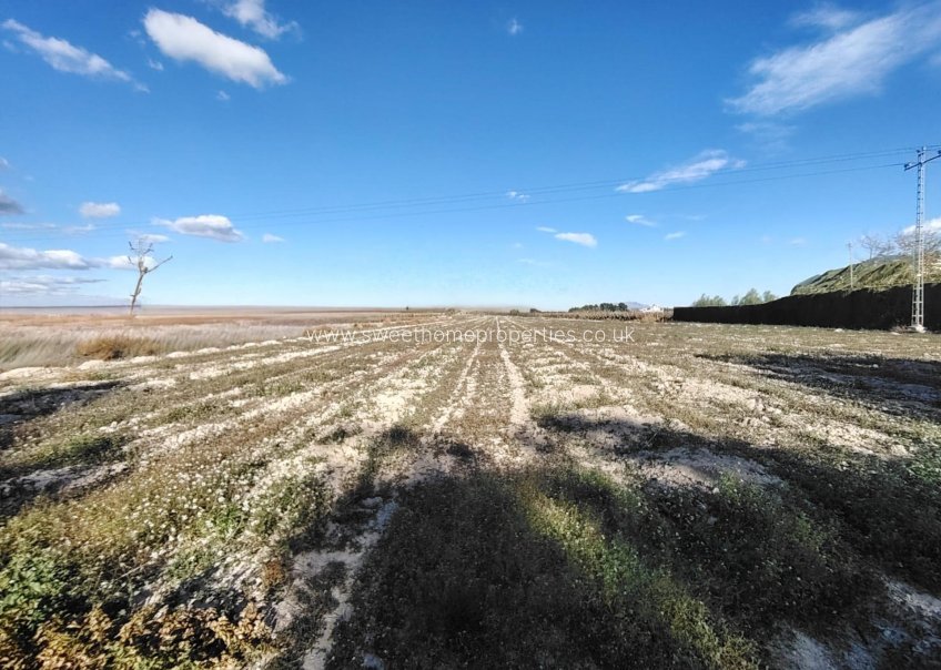 Reventa - Plot - Novelda - Comunidad valenciana