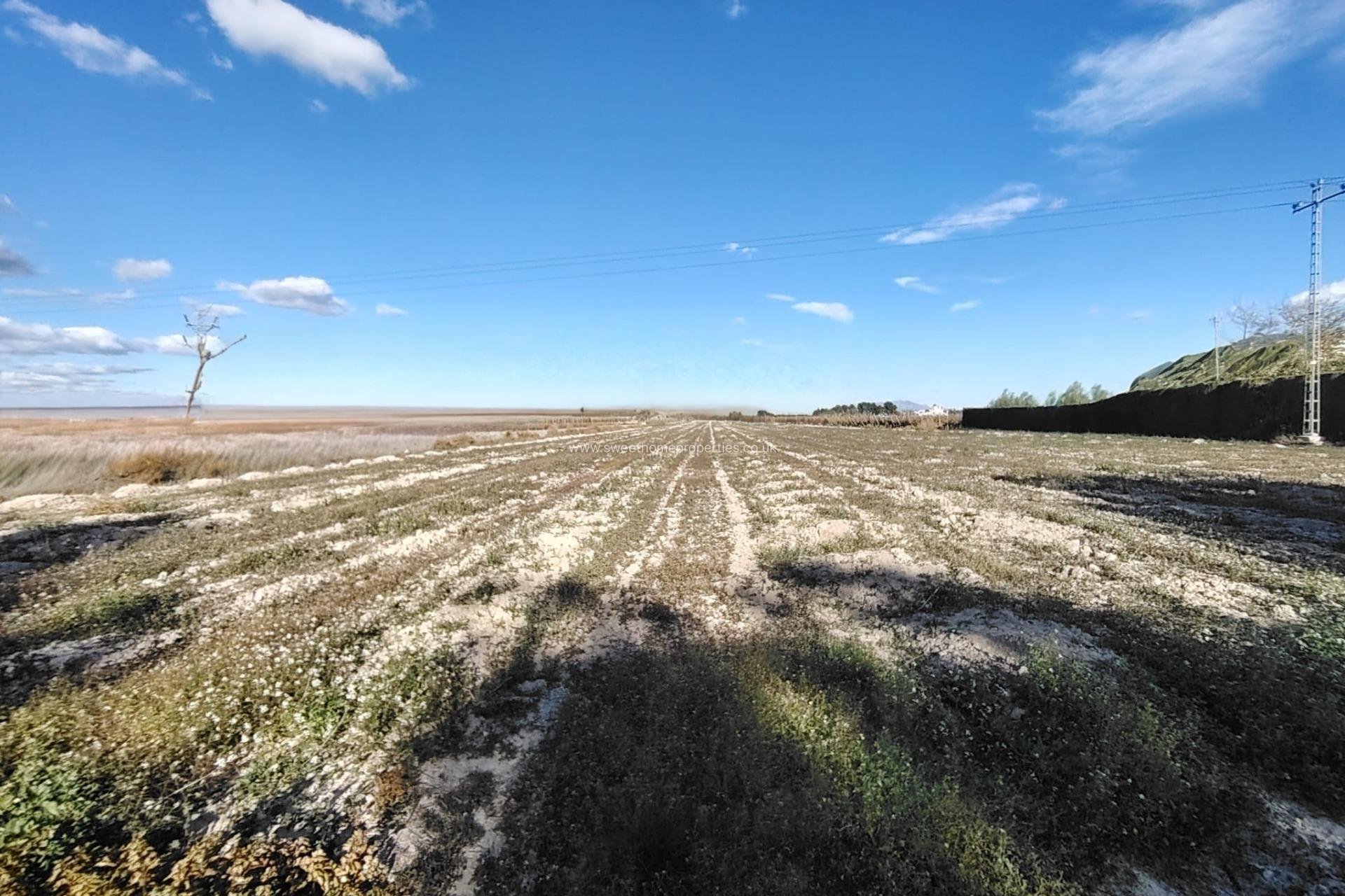 Reventa - Plot - Novelda - Comunidad valenciana