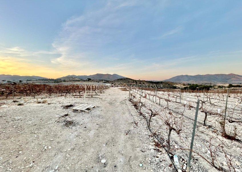 Reventa - Plot - Novelda - HORNA BAJA