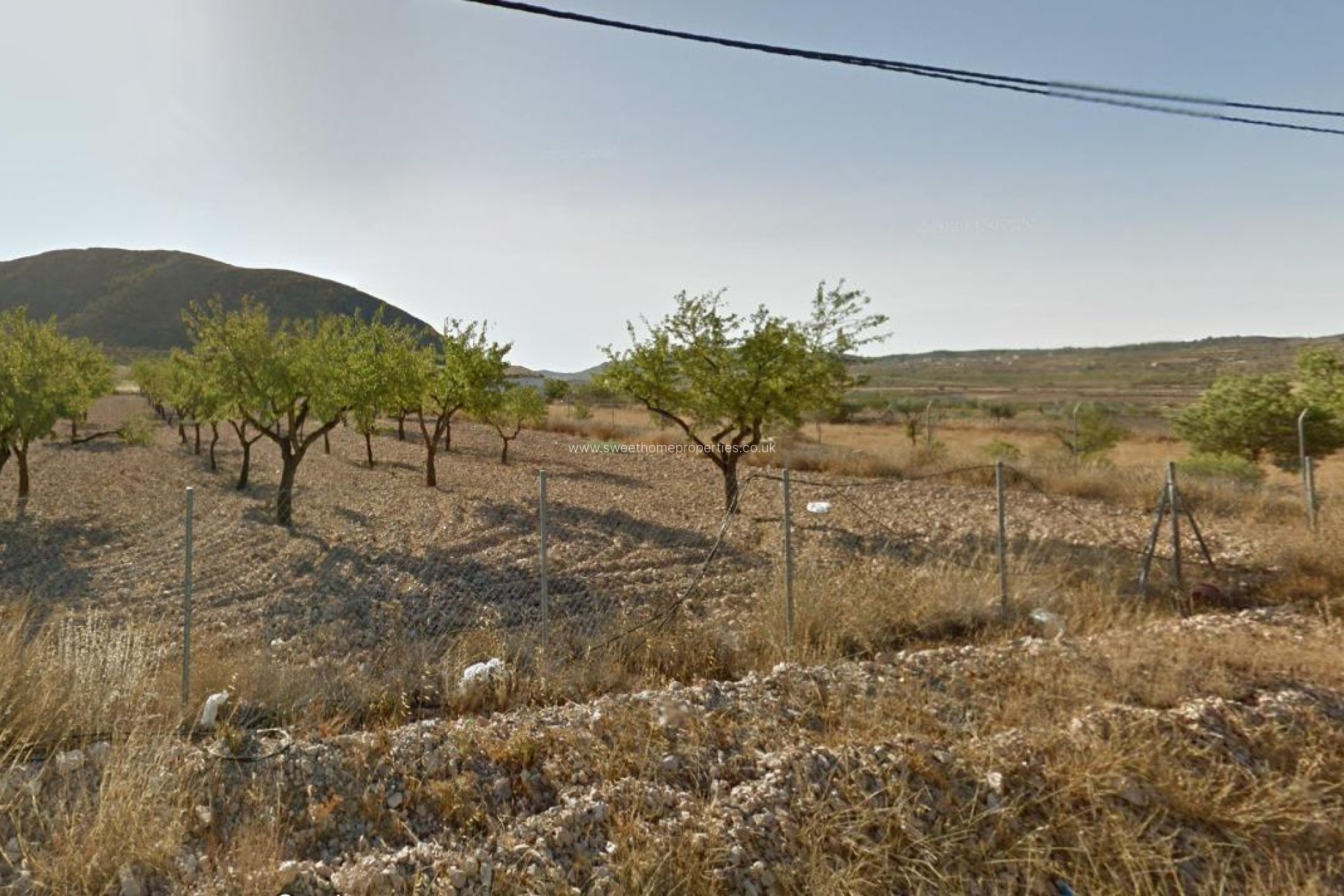 Reventa - Plot - Orihuela - Barbarroja