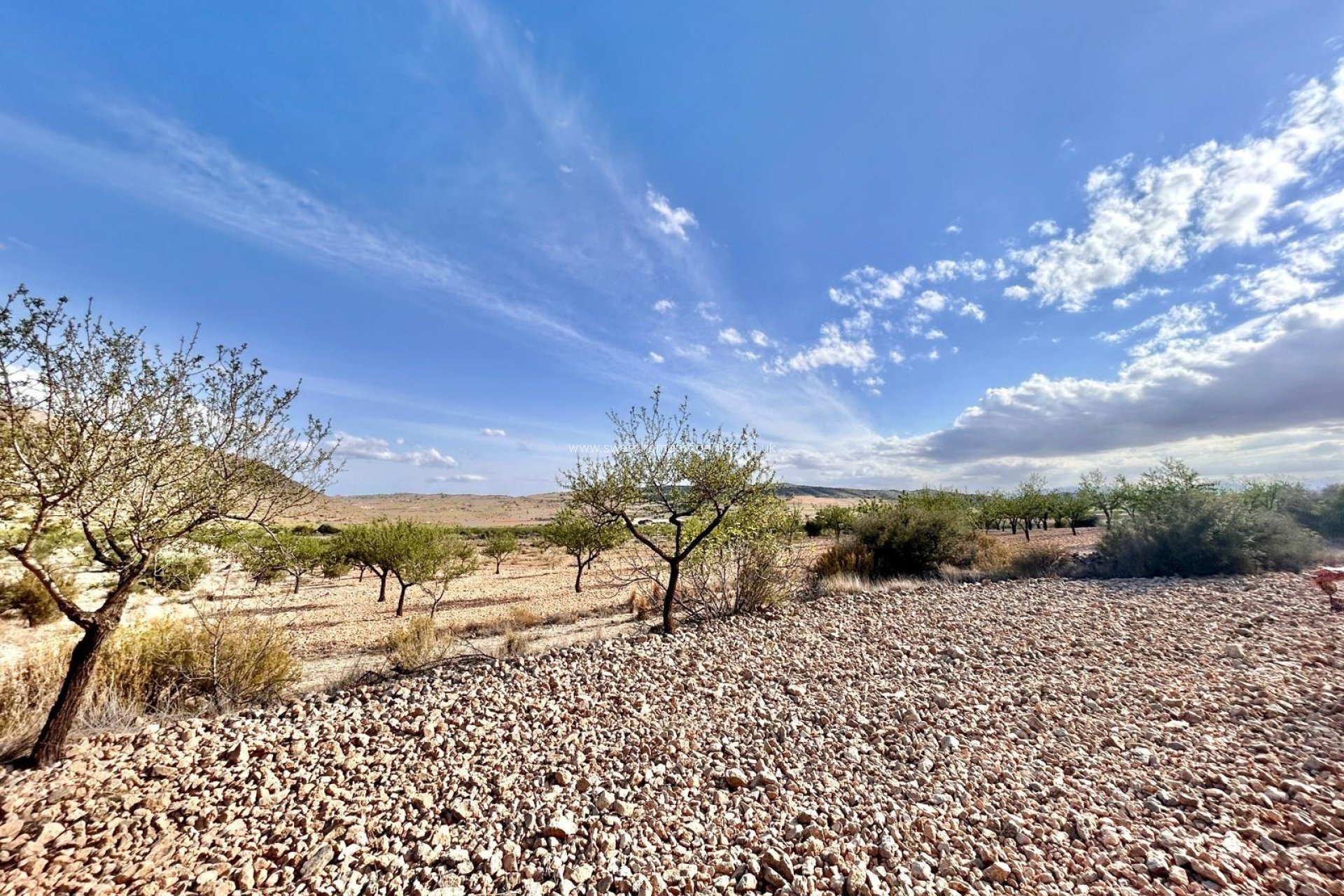 Reventa - Plot - Orihuela - Barbarroja