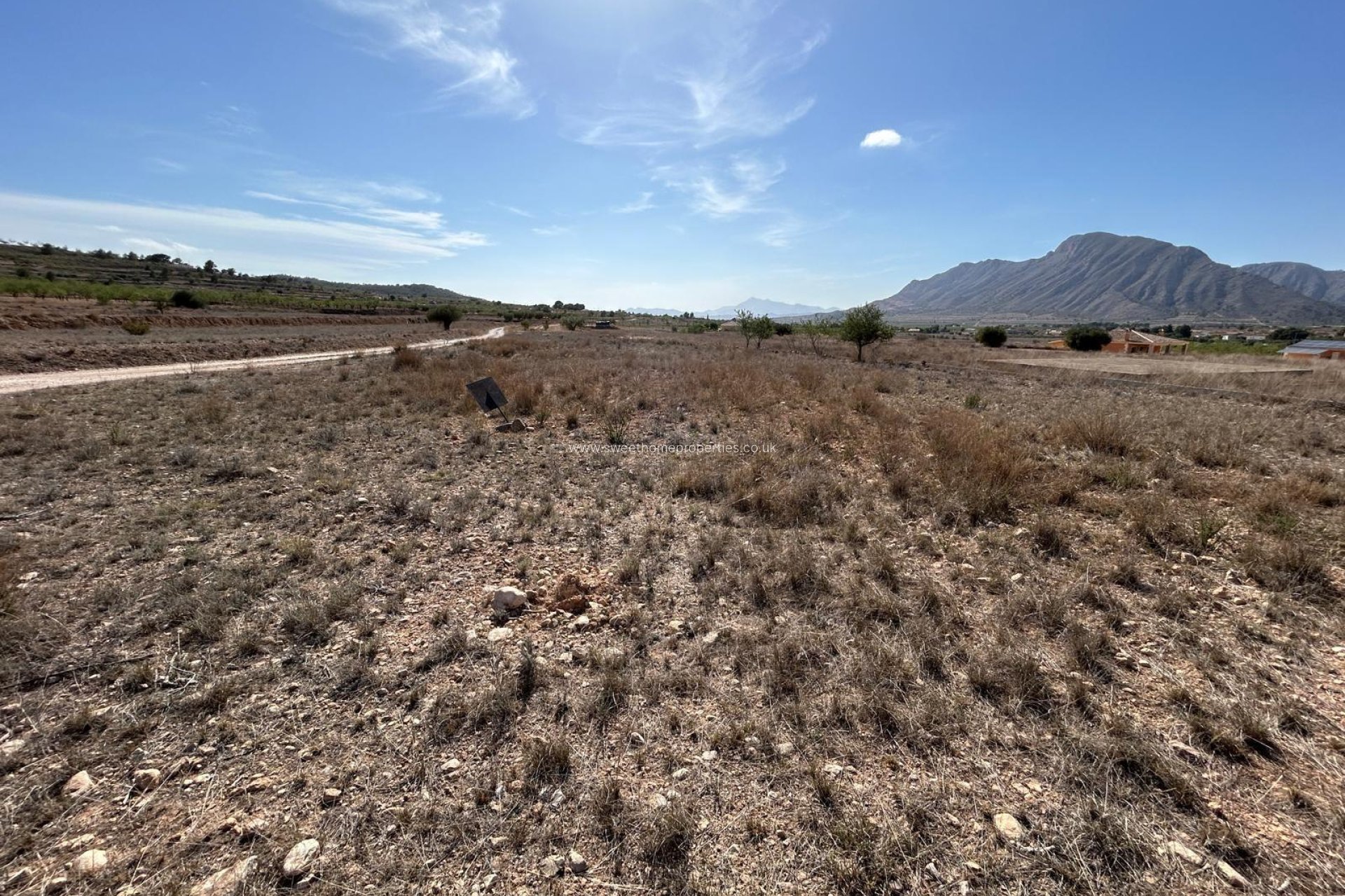 Reventa - Plot - Orihuela - Barbarroja