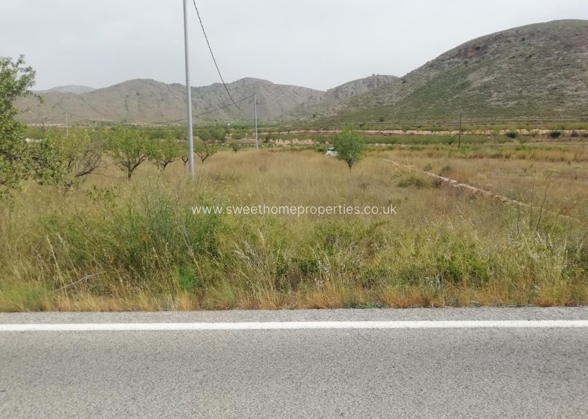 Reventa - Plot - Orihuela - Hondon De Los Frailes