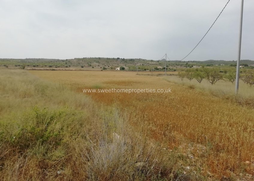 Reventa - Plot - Orihuela - Hondon De Los Frailes