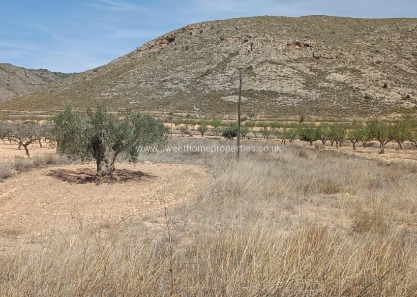 Reventa - Plot - Orihuela - Hondon De Los Frailes