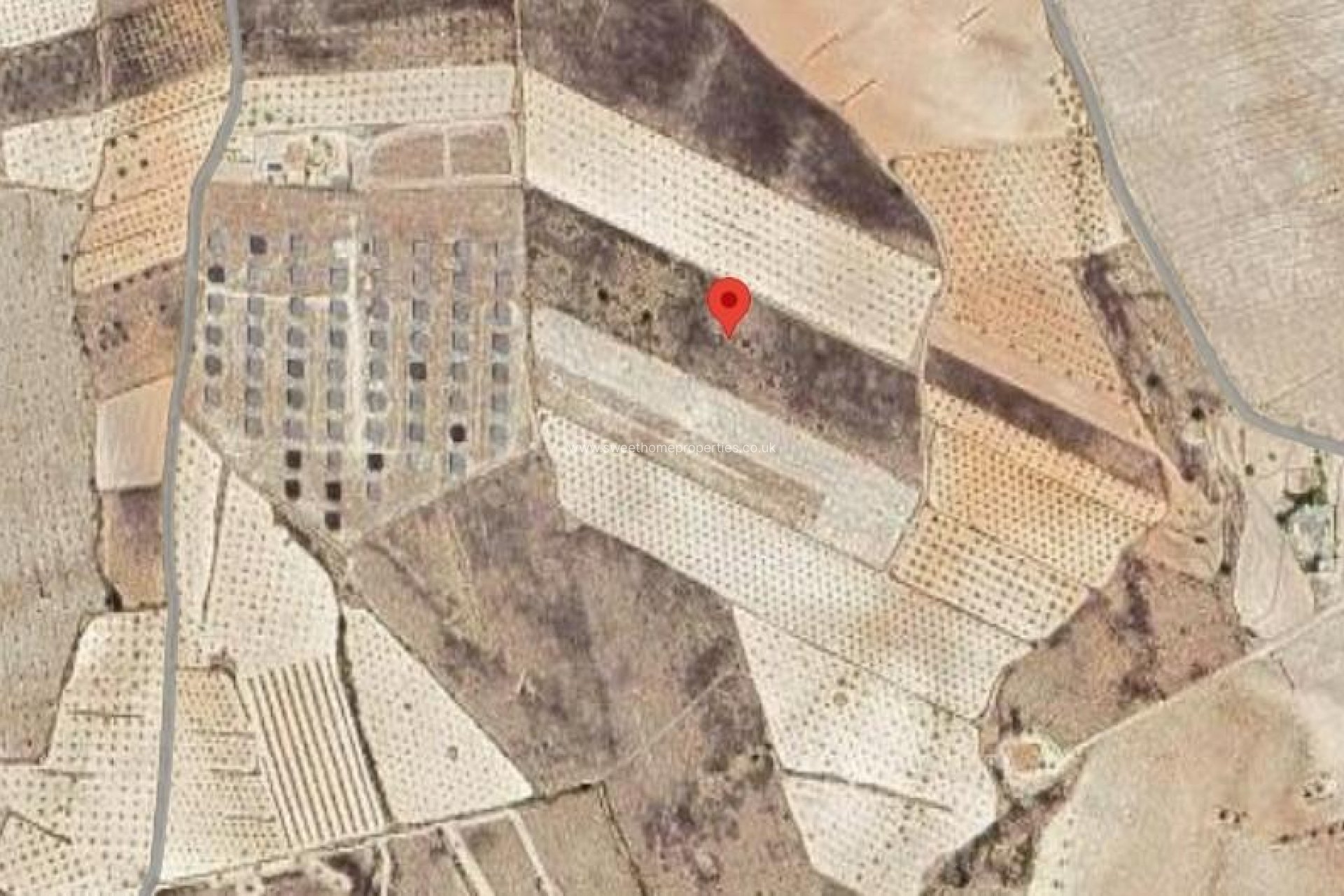 Reventa - Plot - Pinoso - CAÑADA DEL TRIGO