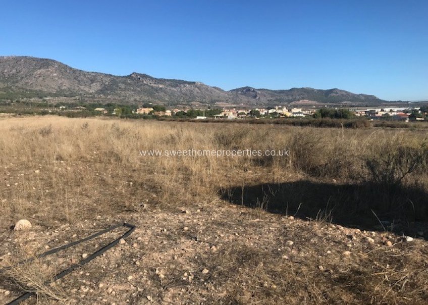 Reventa - Plot - Salinas