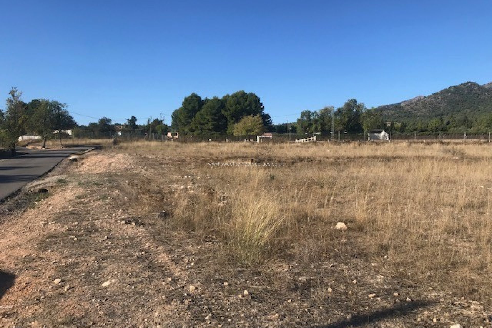 Reventa - Plot - Salinas