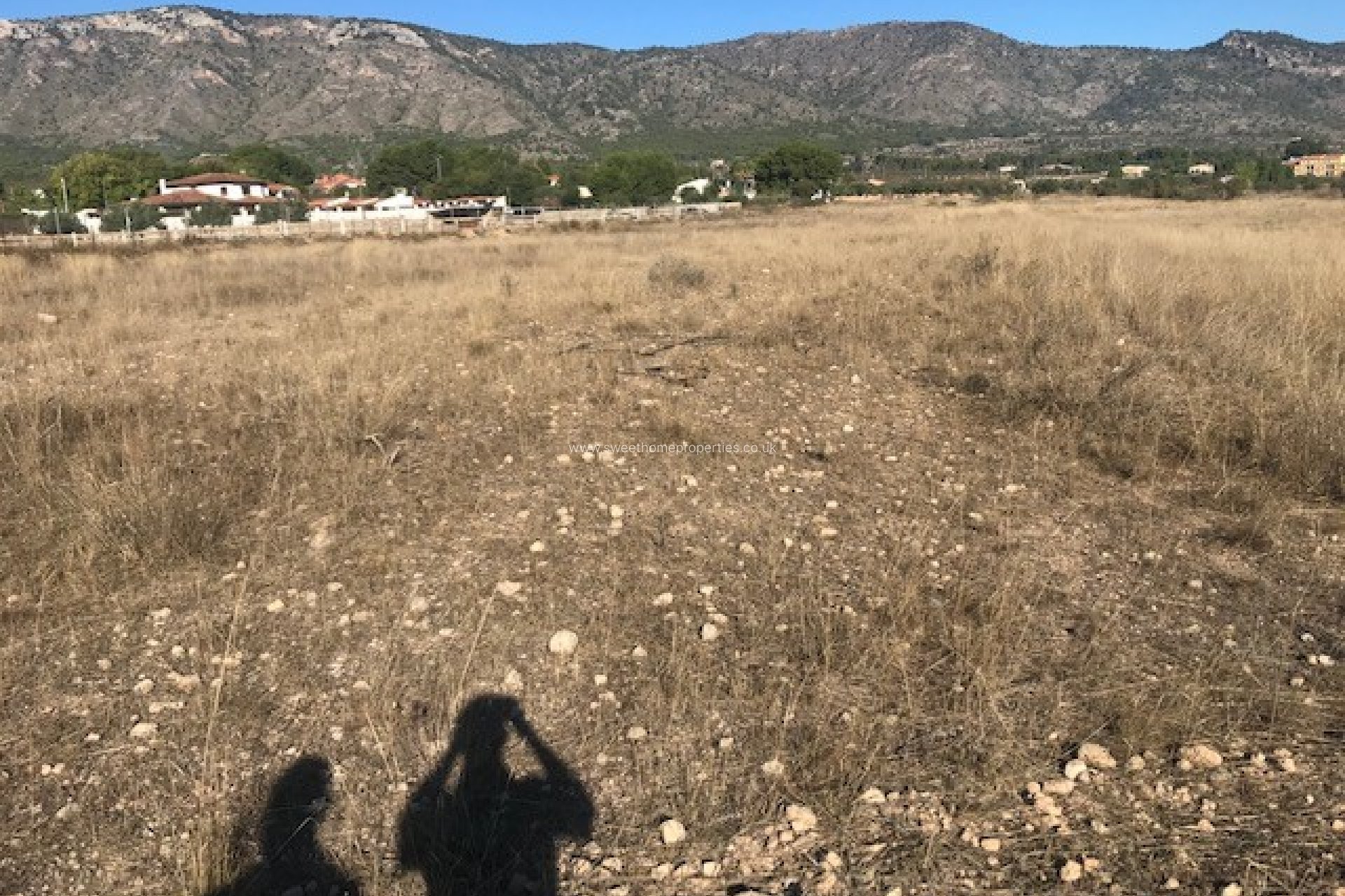 Reventa - Plot - Salinas