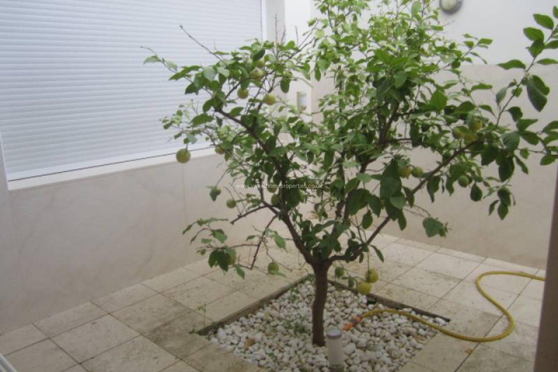 Reventa - Town house - Aspe - La coca