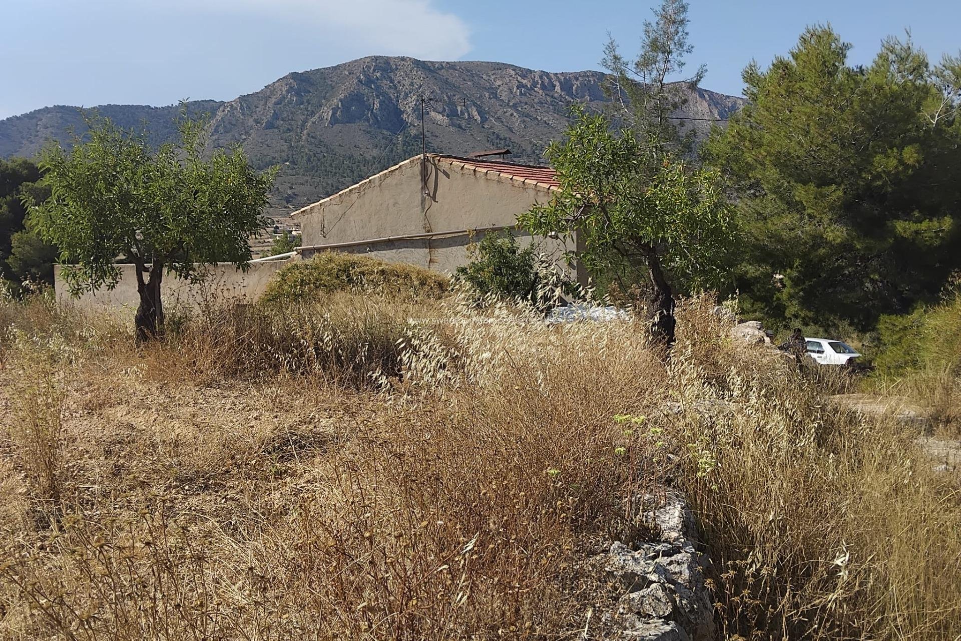 Reventa - Town house - La Romana - Comunidad valenciana