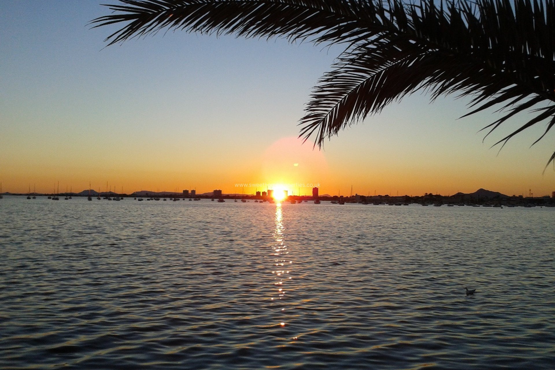 Reventa - Town house - Torre de la Horadada