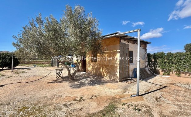 Town house - Resale - Aspe - Aspe