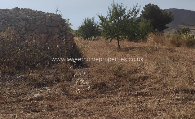 Town house - Reventa - La Romana -
                Comunidad valenciana