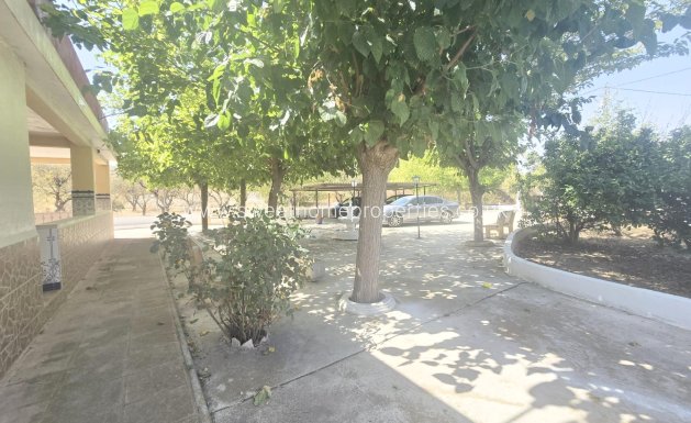 Villa - Herverkoop - Aspe -
                El tolomó