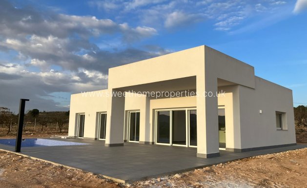 Villa - New Build - Pinoso - Pinoso