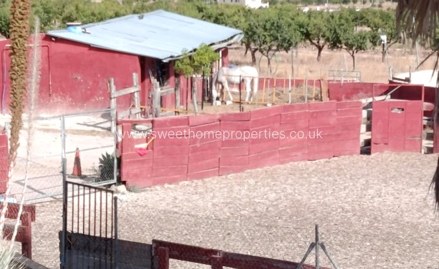 wooden house - Reventa - Orihuela -
                La Murada-Los Vicentes