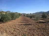 Venta - Casa de campo - Hondon De Los Frailes - CASAS DE GALIANA