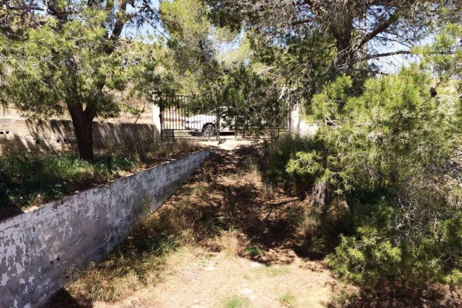 Venta - Casa de campo - Monforte Del Cid - Monforte cid