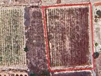 Re-sale - Plot - Novelda - CTRA. MONOVAR