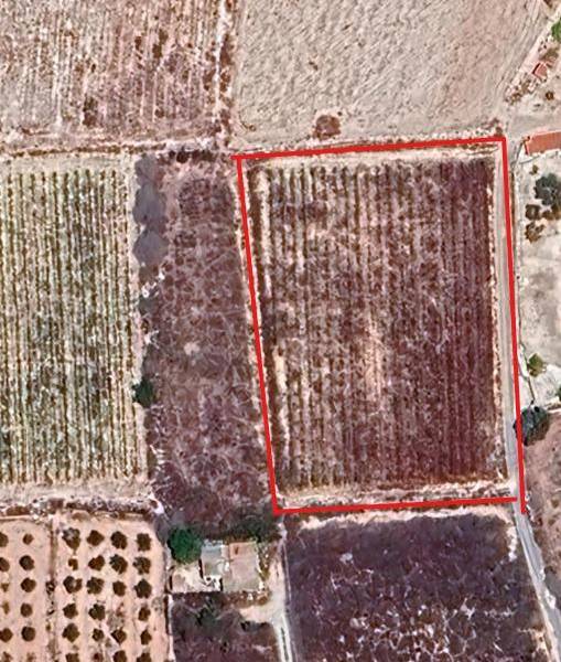 Re-sale - Plot - Novelda - CTRA. MONOVAR