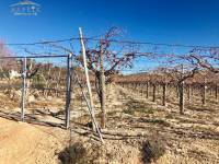 Re-sale - Plot - La Romana - ALCANÁ