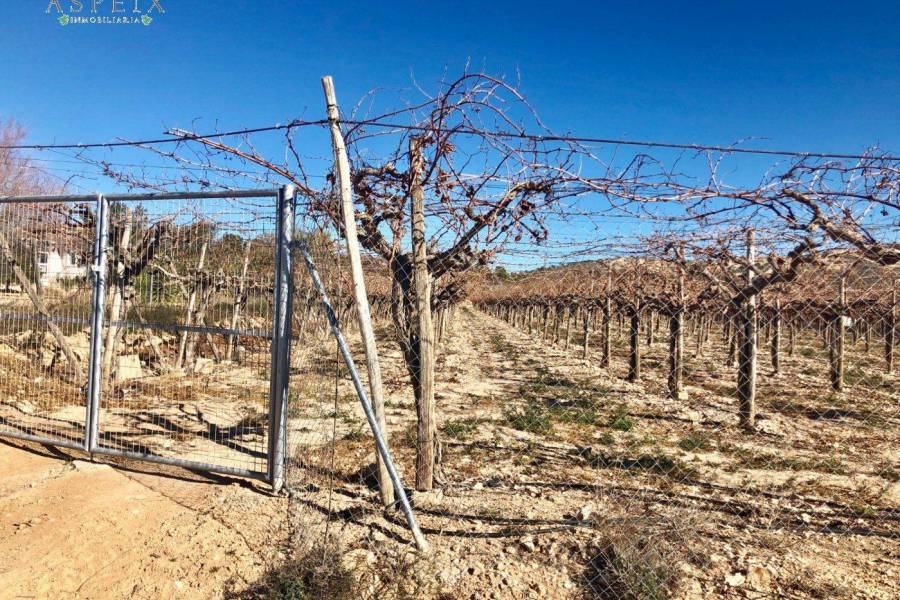Re-sale - Plot - La Romana - ALCANÁ