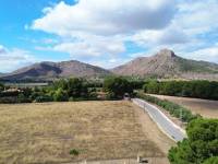 Venta - Casa de campo - Aspe