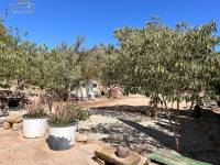 Re-sale - Country house - Hondon De Los Frailes - BARBAROJA