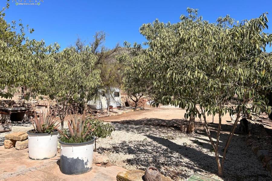 Re-sale - Country house - Hondon De Los Frailes - BARBAROJA