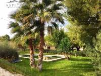 Venta - Chalet - Novelda - CUCUCH