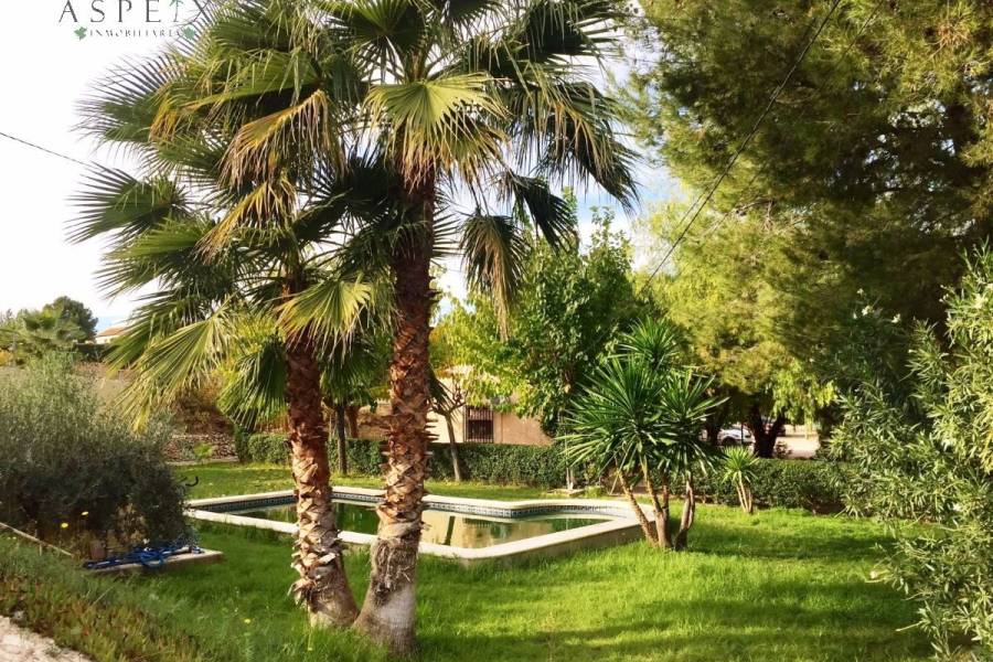 Venta - Chalet - Novelda - CUCUCH