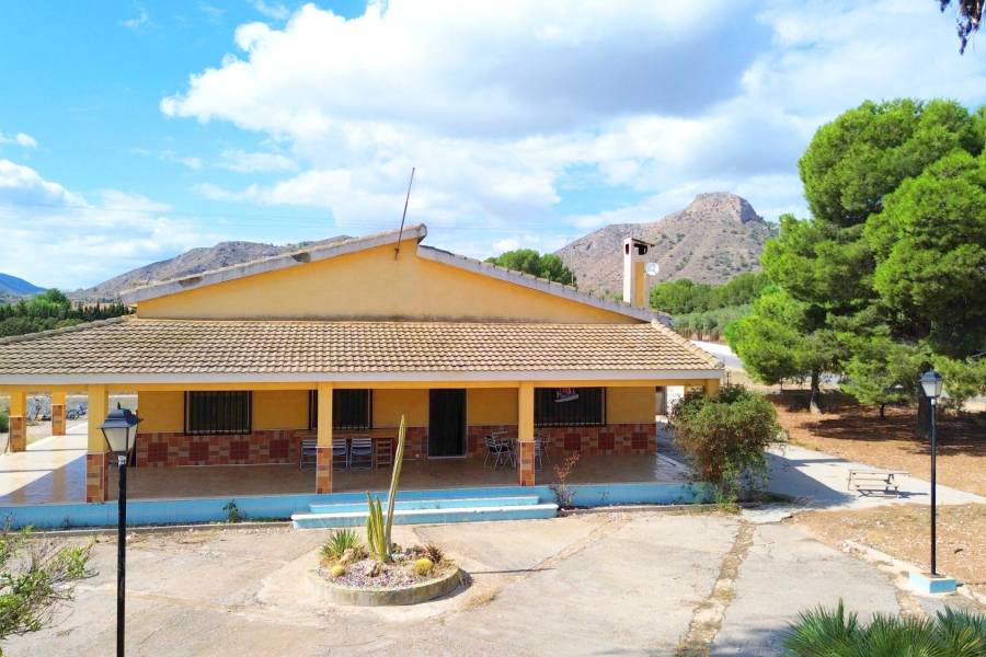 Venta - Casa de campo - Aspe
