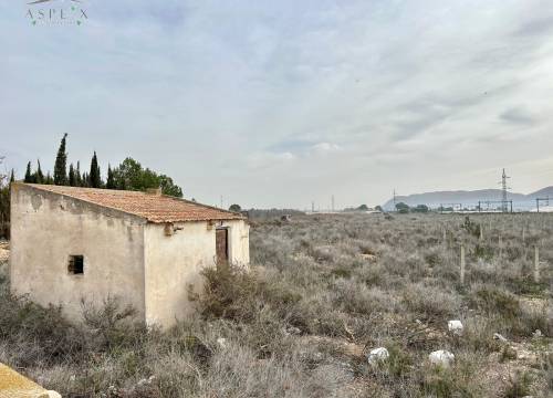 Plot - Venta - Monforte Del Cid - GABARRERA