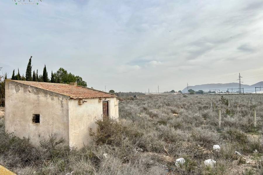 Venta - Plot - Monforte Del Cid - GABARRERA