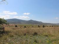 Re-sale - Plot - Monforte Del Cid - Monte Cid