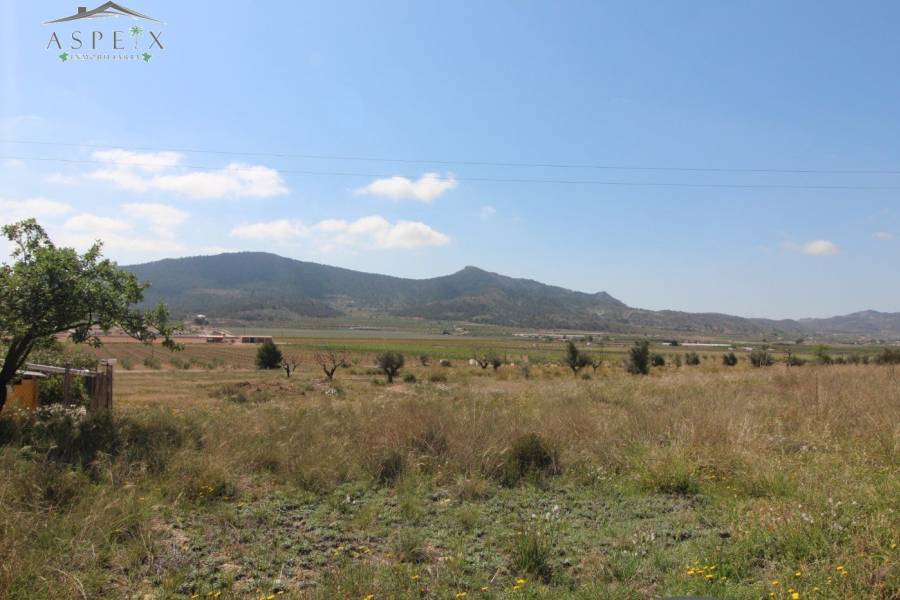 Re-sale - Plot - Monforte Del Cid - Monte Cid
