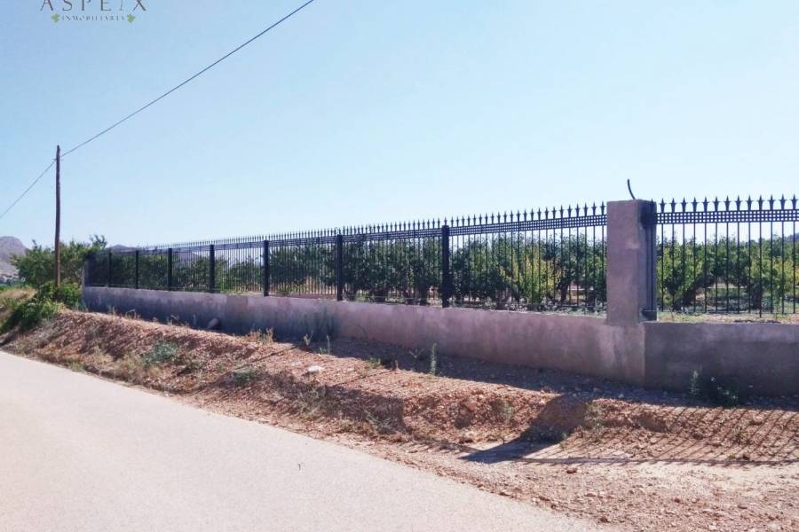Re-sale - Country house - Hondon De Las Nieves - BAYON
