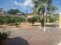 Venta - Chalet - Albatera - ALBATERA