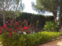 Re-sale - Villa - Monovar-Monover - MONOVAR RURAL