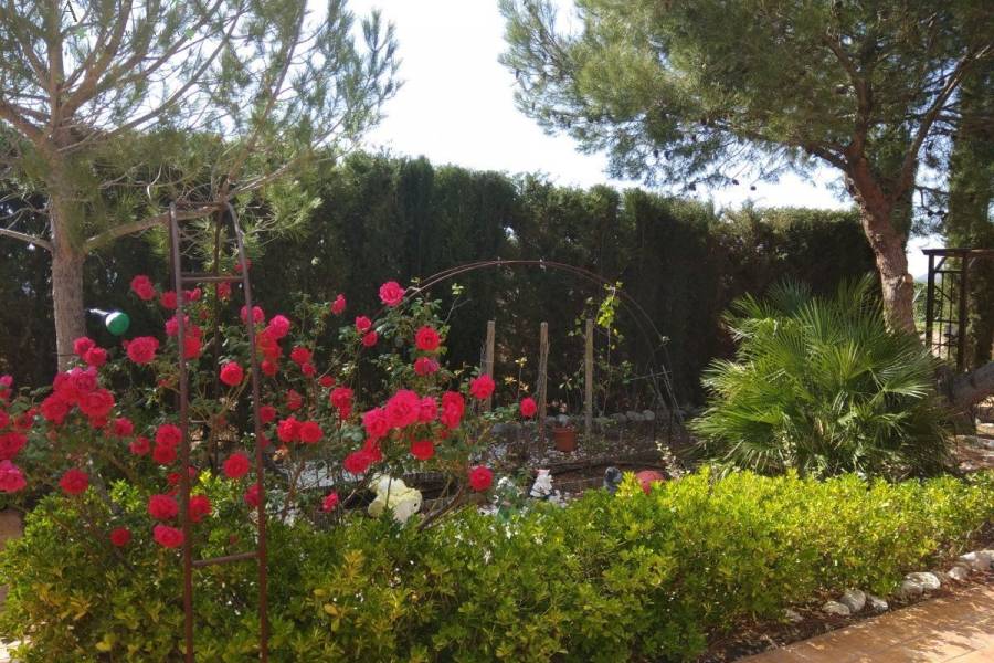 Re-sale - Villa - Monovar-Monover - MONOVAR RURAL