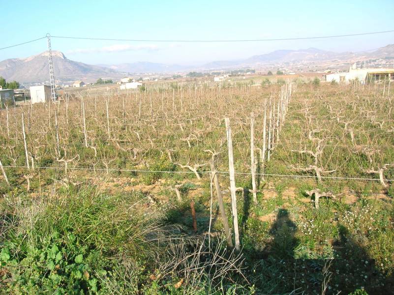 Re-sale - Country house - Aspe
