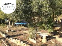 Re-sale - Villa - Hondon De Las Nieves - La solana