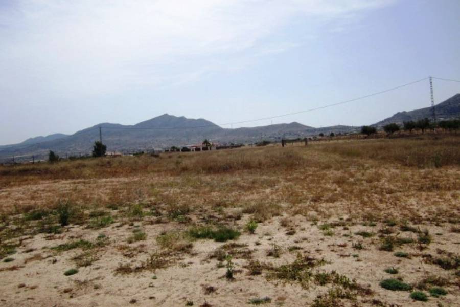 Venta - Chalet - Hondon De Los Frailes - LA MURADA