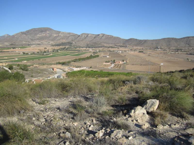 Venta - Plot - Hondon De Las Nieves - PTD. SIMOLA
