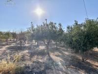 Venta - Casa de campo - La Romana - ALCANÁ